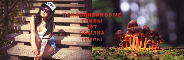 ГАЛЛЮЦИНОГЕННЫЕ ГРИБЫ Горнозаводск