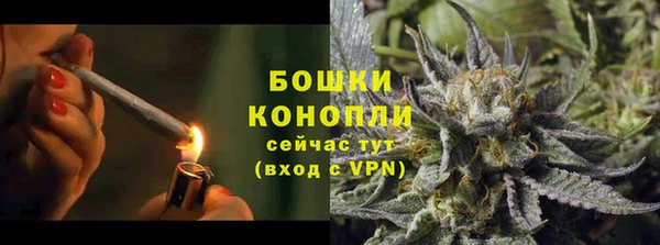 PSILOCYBIN Горняк
