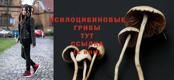 PSILOCYBIN Горняк