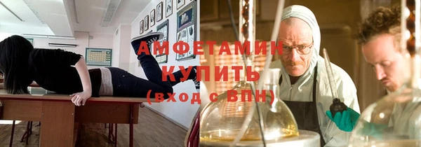 ГАЛЛЮЦИНОГЕННЫЕ ГРИБЫ Горно-Алтайск