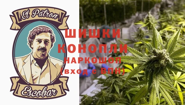 ГАЛЛЮЦИНОГЕННЫЕ ГРИБЫ Горно-Алтайск