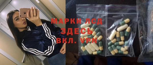 PSILOCYBIN Горняк