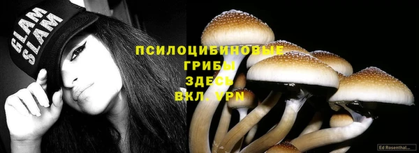 ГАЛЛЮЦИНОГЕННЫЕ ГРИБЫ Горнозаводск