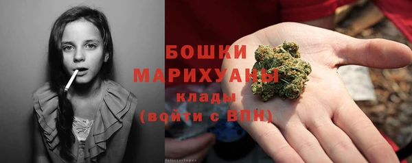 ГАЛЛЮЦИНОГЕННЫЕ ГРИБЫ Горно-Алтайск