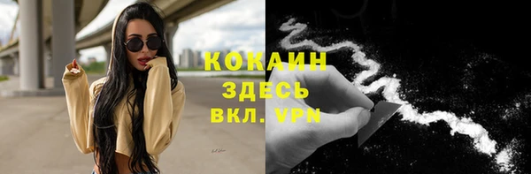 ГАЛЛЮЦИНОГЕННЫЕ ГРИБЫ Горно-Алтайск