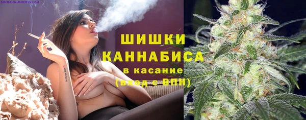 ГАЛЛЮЦИНОГЕННЫЕ ГРИБЫ Горнозаводск