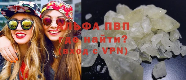 ГАЛЛЮЦИНОГЕННЫЕ ГРИБЫ Горно-Алтайск