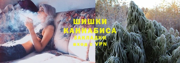 PSILOCYBIN Горняк