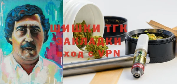 ГАЛЛЮЦИНОГЕННЫЕ ГРИБЫ Горно-Алтайск