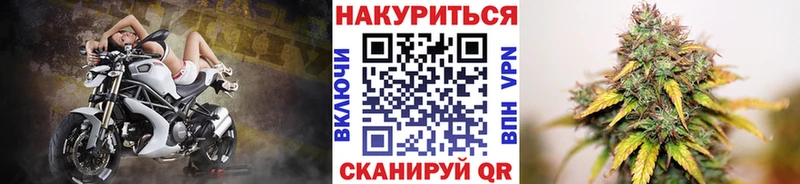 Бошки марихуана тримм  Купить закладки  Димитровград 
